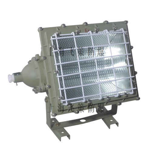 BTd52防爆泛光燈 BTd52防爆泛光燈